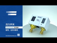 Sakelar Tekanan Ganda Adjustable Stainless steel Untuk Pompa Air