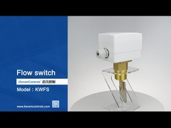 Pengukur Aliran Cairan Switch Aliran Dengan Paddle Sensing Element Rentang Suhu -20C-120C